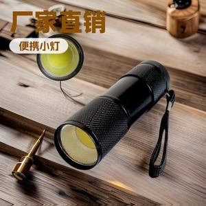 <b>Mini</b> Cob Flashlight 1W 100 Lumen Aluminum Alloy <b>Led</b> White <b>Light</b> For Hiking Camping Daily Use - Product Image 1