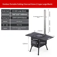 Poêle à bois moderne en acier au carbone pour le camping et le barbecue, poêle à charbon à économie d'énergie, utilisation toute saison
