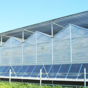 بوابة بلون أزرق فوقي 6-سعر الورقة مورد أبيض حليبي خبي بولي كربونات - Product Image 5