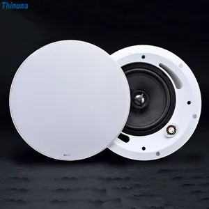 Thinuna GS-5CT/6CT/8CT 전문 오디오 사운드 시스템 30w 2 웨이 PA 스피커 공공 오디오 주소 시스템 동축 천장 스피커