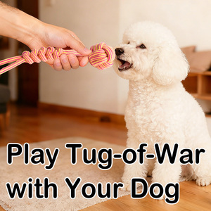 Giocattolo per Cani Ecologico e Versatile, Corda Intrecciata Resistente per Addestramento e Masticazione - Product Image 5