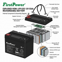 Batería de Plomo-Ácido VRLA de Alta Capacidad FirstPower LFP1255 12V 55Ah, Batería AGM de 10 Horas para Equipos Marinos y Paneles de CC Industriales