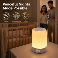 Vente en gros Mini veilleuse d'ambiance Machine à dormir à bruit blanc Machine à pluie forte pour la méditation avec matière plastique alimentée par batterie