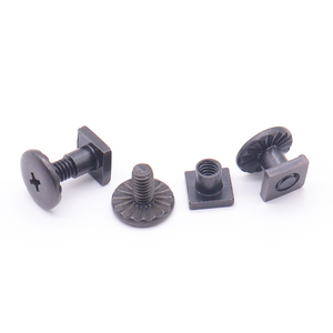 <span class=keywords><strong>Vis</strong></span> Chicago en acier inoxydable M3 M4 M5 M6, mâle-femelle, <span class=keywords><strong>pour</strong></span> cloisons sèches, noires - Product Image 4