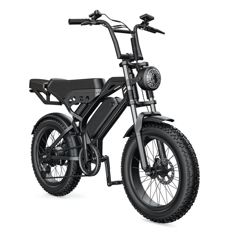 OEM ODM Factory 1000W Retro Electric