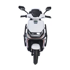 High End 2024 New Electric Motorcycle 1000W Powerful Adult E Motorcycle Two Wheels With Low Price