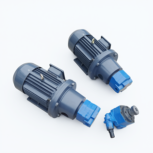 Unité de pompe à engrenages horizontale/verticale BB-B40JZ BB-B50JZ BB-B63JZ en fonte pour la lubrification des machines-outils - Product Image 1