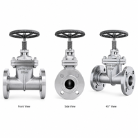 Vanne à opercule manuelle à bride LUOKEFM Z41W-25P CF8 PN16 pour pipelines pétroliers et gaziers, siège métallique -20~425, contrôle de débit industriel