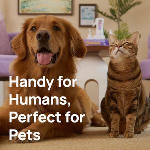 कुत्तों के लिए कस्टम सूत्र विरोधी भड़काऊ मौखिक देखभाल स्प्रे कुत्ते बिल्लियों लक्जरी सांस दंत चिकित्सा देखभाल स्प्रे बाथरूम के उपयोग के लिए - Product Image 5