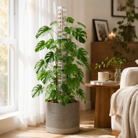 Support de fixation en plastique pour plantes, pour poteaux de mousse, bambou, lierre vert et diverses plantes grimpantes