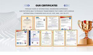 ราคาขายส่ง ISO CE สำหรับ IEC60076 CSA หม้อแปลงไฟฟ้าแบบติดตั้งบนแท่น 3 เฟส 1000 Kva 4160Y/2400V ถึง 440V 60HZ - Product Image 6