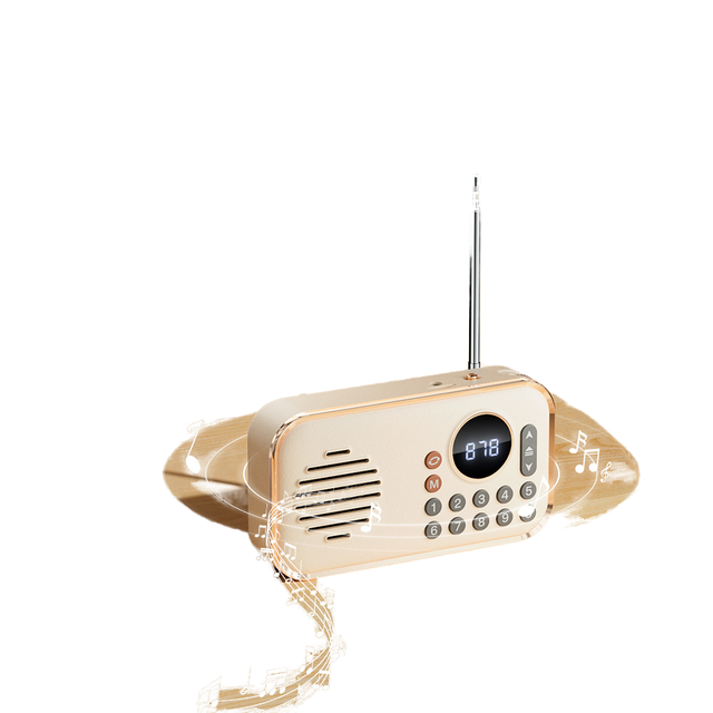 Elderly Radio Walkman for 5.0 Speaker Portable Music Player Card Slot USB Flash Drive Audio No Remote Control No Built-in