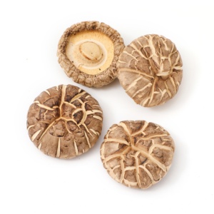 Alta Qualidade Nutritivo Cultivado Seco <span class=keywords><strong>Shiitake</strong></span> Cogumelo Fábrica Atacado - Product Image 2