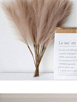 Plumes artificielles faites à la main, réalistes et moelleuses, en herbe de la pampa et en queue de renard, pour décoration florale de scène de mariage