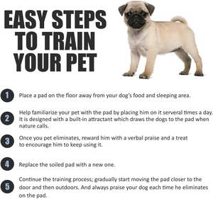 Bamboo Charcoal Absorbent <span class=keywords><strong>Pet</strong></span> Pee Pad Einweg-Trainings windel pad Absorbent Good <span class=keywords><strong>Dog</strong></span> Desodor izing Anti bacterial Pee Pad - Product Image 5