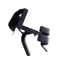 LENDON Nouveau design Banc de musculation commercial Roman Chair pour extensions dorsales, équipement de musculation pour salle de sport à domicile, chaise haltères et machine d'entraînement lombaire