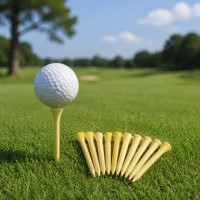 Tees de golf en bambou naturel biodégradables, respectueux de l'environnement, qualité tournoi, logo personnalisé, OEM, vente en gros, directement de l'usine