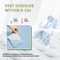 Bande de feuille de blanchisserie biodégradable super concentrée de fournisseur de blanchisserie de marque de distributeur personnalisée