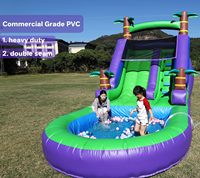 Toboggan aquatique gonflable de qualité commerciale en PVC pour adultes et enfants, avec grande piscine à jets d'eau et souffleur