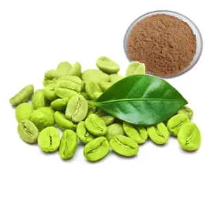 天然減量クロロゲン酸60% グリーンコーヒー豆エキスパウダー