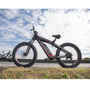 Venta caliente ES750 Fibra de carbono 1000W Bicicleta de montaña <span class=keywords><strong>eléctrica</strong></span> Velocidad rápida Neumático gordo Bicicleta de montaña <span class=keywords><strong>eléctrica</strong></span> Bicicleta <span class=keywords><strong>eléctrica</strong></span> de alta <span class=keywords><strong>calidad</strong></span> - Product Image 2