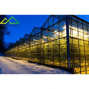 Winter landwirtschaft liches Glas gewächshaus Venlo Gewächshaus mit HPS wachsendem Licht