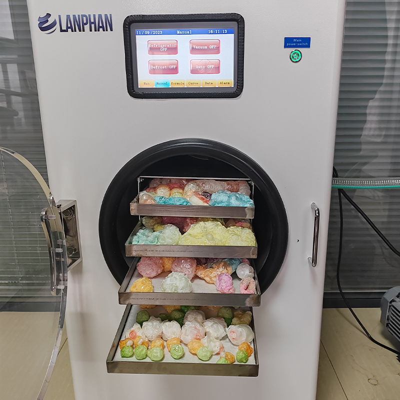 Machine à sécher les bonbons lyophilisés sous vide à usage domestique 6kg 8kg 10kg 15kg Offre Spéciale en Allemagne