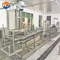 Machine industrielle automatique HJ de 400 kg/h à haute productivité pour la fabrication de feuilles de tofu fines / de tofu / de feuilles de tofu avec cœur PLC 380V