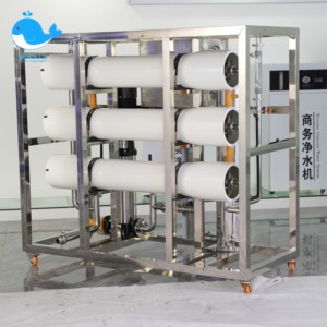 Hot bán 250lph 500lph 1000lph RO hệ thống hệ thống lọc nước với máy bơm thẩm thấu ngược lọc nước thực vật - Product Image 4