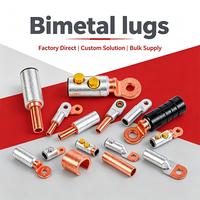 Cosses de câble bimétalliques sur mesure : solution d'usine à prix compétitif pour connexion de câbles en gros