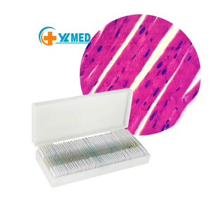 Lámina de Preparación Histopatológica para Muestras de Tejido Humano, Preparación de Muestras Médicas y Geológicas - Product Image 1