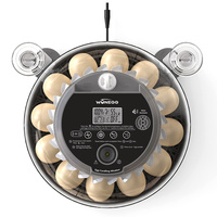 WONEGG – Incubateur automatique d'œufs de volaille pour poulets, canards, oies et cailles – Fournisseur d'usine