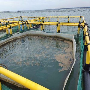 Durable Square <b>Floating</b> Cage System For Lake & Reservoir <b>Fish</b> Farming - Product Image 5