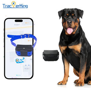 Traceur GPS DK07 Trackerking 2G+4G adapté aux grands chiens et aux chiens de chasse, batterie 4500 mAh, compatible GSM quadribande, géolocalisation. - Product Image 1
