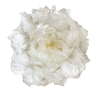 Produsen Bunga Langsung dari Pabrik, Bunga Awet Buatan Tangan, Mawar Gaya Eropa, Peony Tahan Lama, Peony Herbal Cina