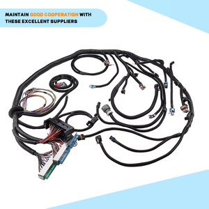 4L60E DBW 2003-2007 LS3 Vortecスタンドアロンエンジン配線用ハーネスLS3 4.8 5.3 6.0LドライブバイワイヤーLSスワップシボレーGMCキャデラック用 - Product Image 2