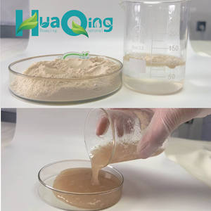 100% doğal toptan fiyat toplu gıda sınıfı Fiber organik toz <span class=keywords><strong>Psyllium</strong></span> kabuğu - Product Image 3