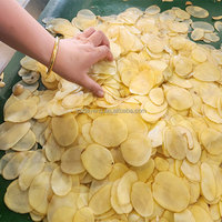 Machine à trancher les pommes de terre et les oignons DY, en acier inoxydable de qualité alimentaire, 3000 kg/h, semi-automatique, avec moteur central