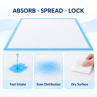 Protège-tapis jetables pour toilettes canines à drainage rapide, avec film protecteur anti-humidité pour l'entretien intérieur - Exportation directe usine