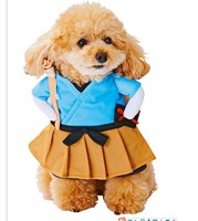 Costume d'Halloween amusant pour chat et chien, tenue transformable 3D pour animaux, déguisement fantaisie mignon avec ailes et cornes pour petits animaux de compagnie