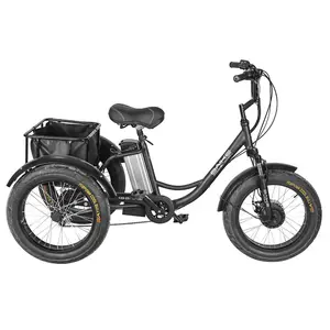 DDP electric tricycle 20 inch 250w fat tire port electric tricycle for adult cheap price 3 wheels