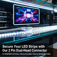 Connecteur de bande de LED à 2 broches en cuivre à 2 fils pour LED 5050 3528 3014 2835 bandes