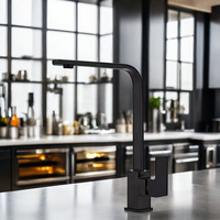 Robinet thermostatique à tube plat carré Robinet mitigeur d'eau froide et chaude en acier inoxydable pour salle de bain et cuisine