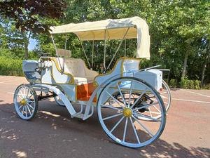 Carruaje de caballos al aire libre real de lujo europeo completo/vehículo de caballos de tráfico turístico/carro de caballos eléctrico de turismo a la venta - Product Image 2