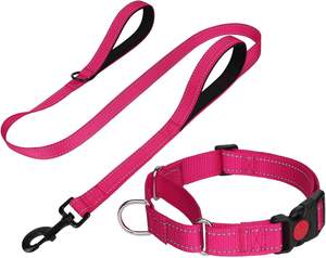 Conjunto de Correa y <span class=keywords><strong>Collar</strong></span> Ajustable Acolchado para Perro Mediano, <span class=keywords><strong>Collar</strong></span> Martingale Reflectante de 5 Pies con Cierre de Botón, Doble Asa, Nailon Rosa Intenso - Product Image 1