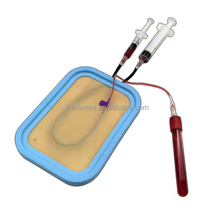 Tapis d'entraînement pour infirmières pour la collecte de sang, modèle d'entraînement aux injections intraveineuses, kit d'exercices de suture - Product Image 1