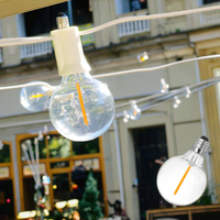 5 Watt E12 Base B22 Ampoules LED équivalentes Intérieur Extérieur Globe Guirlande Lumineuse 4000K CCT Remplacement du corps de la lampe en verre pour une utilisation en intérieur