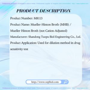 Bouillon de Mueller-<span class=keywords><strong>Hinton</strong></span> (MHB) utilisé pour la méthode de dilution dans les tests d'évaluation de la sensibilité aux médicaments - Product Image 2
