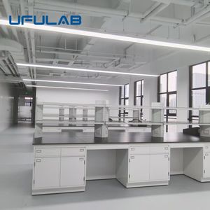 Hot Sale Modern School <strong>Chemistry</strong> Laboratory Commercial Furniture Cold-rolled Steel Wall Workbench Reagent <strong>Fume</strong> <strong>Hood</strong> - Product Image 6