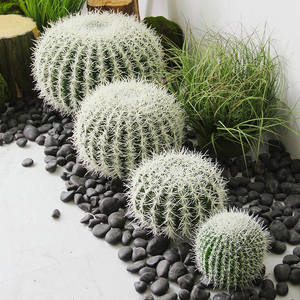 Bonsái de Cactus de Espinas Blancas de Imitación Nórdica, Planta Verde Artificial Grande para Decoración de Paisajes Tropicales y Desérticos - Product Image 2